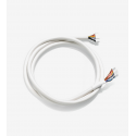 Print Head Cable