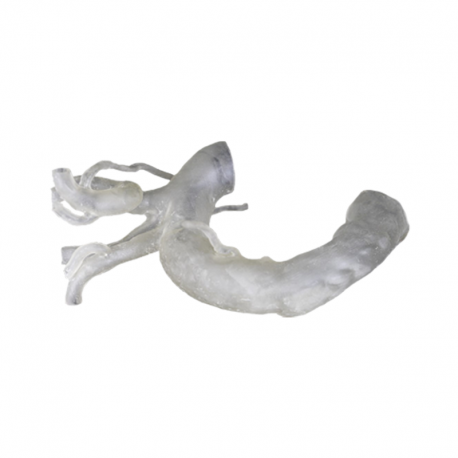 Ultracur3D® FL 60 resina impresora 3D...