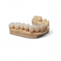 Resina impresión 3D FORMLABS Premium Teeth HT A3 Resin (Form 4) 1 kg (0.8 L) Resina impresión 3D FORMLABS Premium Teeth HT A3 Resin (Form 4) 1 kg (0.8 L)